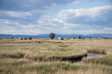 Landscape of natural park of Delta del Ebro