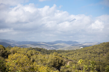 Fototapeta na wymiar Landscape of pinetree forest and mountains and sea in the background, Sitges, Garraf mountains
