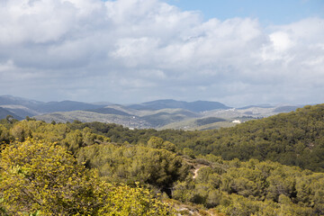 Fototapeta na wymiar Landscape of pinetree forest and mountains and sea in the background, Sitges, Garraf mountains