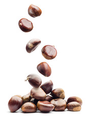 Falling chestnuts on bunch on white background.