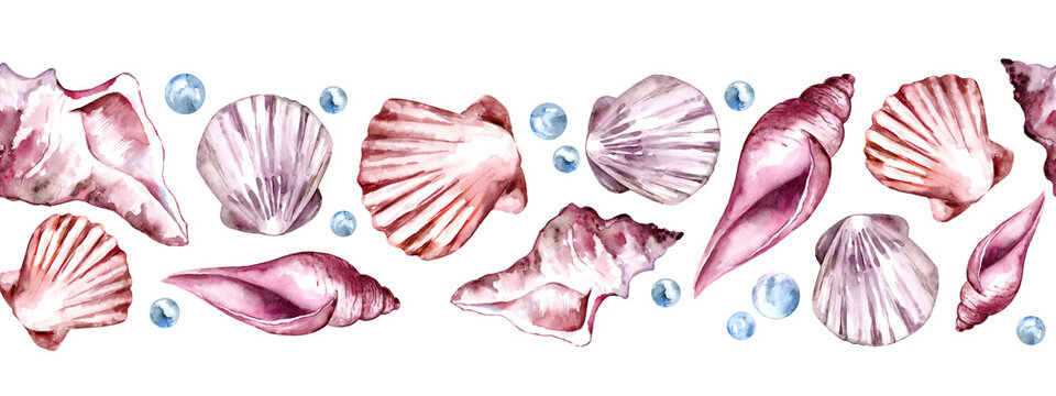 Seamless Border with Seashells. Hand drawn watercolor illustration on white isolated background for banner. Sea shell Pattern for design in nautical style.