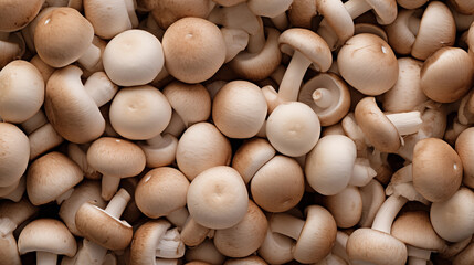 A photograph of a background filled with fresh button mushrooms