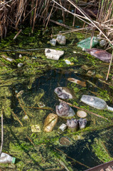 Environmental problem, garbage. Contamination with debris and plastic