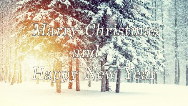 Merry Christmas and Happy New Year words letters white beige design. Spruce pine trees snow-covered, forest, winter, sun, day. Falling snow snowflakes snowfall. Loop seamless animation text background