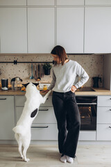 Beautiful caucasian lady with her black and white big dog are preparing autumn winter sea buckthorn tea with orange, cinnamon and honey. Healthy drinks concept
