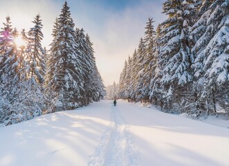 Obraz premium someone is walking in the middle of a trail through a snowy pine forest
