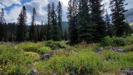 Alberta and BC 2022 - 2023