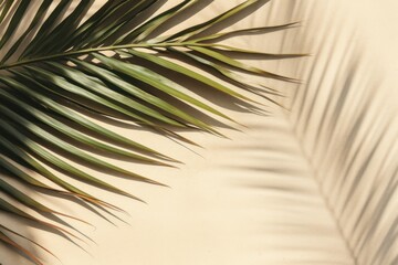 Obraz premium Palm leaf shadow on sand