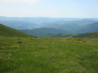 Fototapeta na wymiar summer landscape views of the Montenegrin ridge of the Ukrainian Carpathians