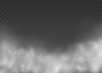 White fog texture isolated on transparent background. Steam texture illustration. Powder explosion concept. Fog or smoke. - obrazy, fototapety, plakaty