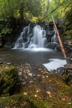 an image of a waterfall in the woods photo by alex stoda