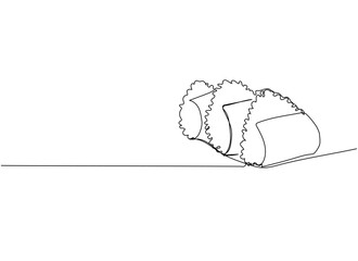 Sushi, Onigiri, Japanese Rice Balls one line art. Continuous line drawing of sushi, japanese, food, roll, culture, tasty, restaurant, japan, asian, sea, menu