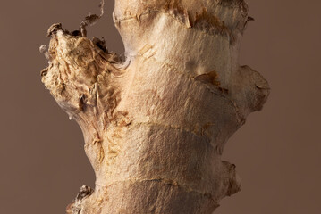 Photo of a piece of raw ginger on brown background
