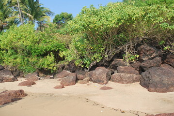 Rocky beach with large boulders Calm and a lot of crabs. South India