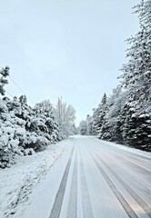 a snowy road with trees and power lines in the distance