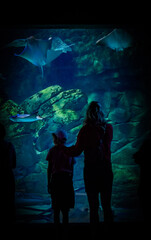silhouette of a a mother and her child looking at an aquarium display of sea life
