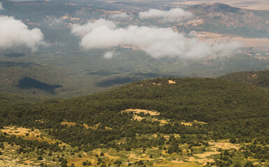 Pinar en la ladera norte de la cresta de los Claveles, Sierra de Guadarrama, Segovia, España....