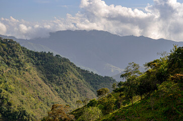 Close Landscape above Coffee Farm