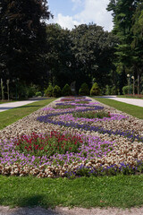 Hradec Kralove, Czech Republic - July 22, 2023 - the Jirasek Park on a summer sunny day