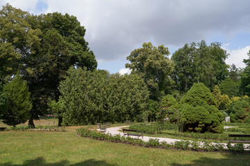 Hradec Kralove, Czech Republic - July 22, 2023 - the Jirasek Park on a summer sunny day