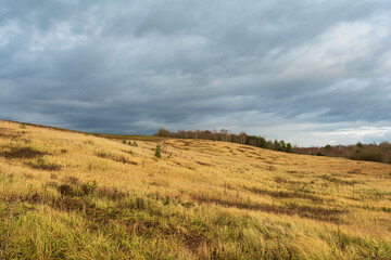Hilly area with tall yellow grass on a windy cloudy day. Gloomy rainy sky. Autumn landscape