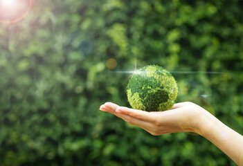 Hand holding a green grass earth globe with light reflection, flare light on natural background for global development.Friendly globe day, environmental management, energy or business concept.Banner. - obrazy, fototapety, plakaty