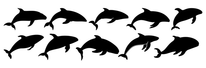 Whale orca silhouettes set, large pack of vector silhouette design, isolated white background
