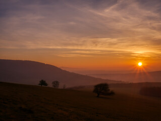 Scenic hilly landscape with solitary trees during sunset