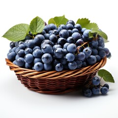 A basket of blue grapes with green leaves, clipart on white background.