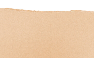 Sheet of Brown Cardboard Paper Half Torn isolated on transparent background