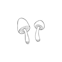  Hand drawn simple mushrooms. Isolated doodle vector illustration mushrooms.  On white background.