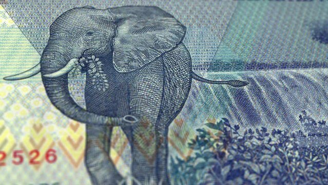 Zimbabwe Zimbabwean Dollar 20 Banknotes, Twenty Zimbabwean Dollar, Close-up and macro view of the Zimbabwean Dollar, Tracking and Dolly Shots 20 Zimbabwean Dollar banknote Observe and Reserve Side