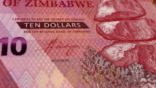 Zimbabwe Zimbabwean Dollar 10 Banknotes, Ten Zimbabwean Dollar, Close-up and macro view of the Zimbabwean Dollar, Tracking and Dolly Shots 10 Zimbabwean Dollar banknote Observe and Reserve Side