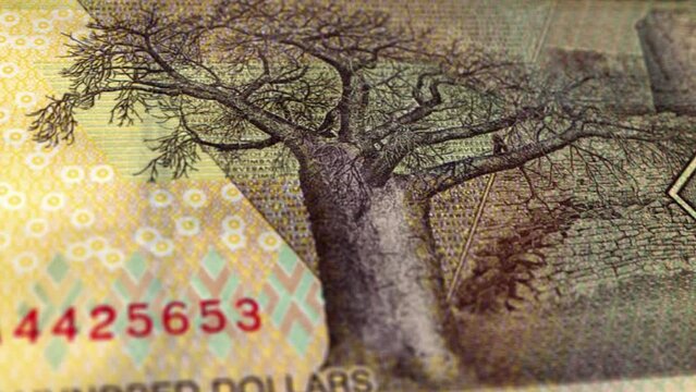 Zimbabwe Zimbabwean Dollar 100 Banknotes, One Hundred Zimbabwean Dollar,Close-up and macro view of the Zimbabwean Dollar, Tracking and Dolly Shots 100 Zimbabwean Dollar banknote Observe and Reserve