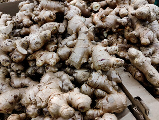 ginger root on the market