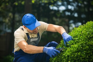 Garden Pruning Worker, Cutting the Sprigs and Leaves concept.