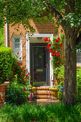 Fototapeta na wymiar Haustür eines historischen Wohnhauses in Georgetown, Washington D.C.