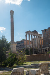 Roman Forum with the Column of Phocas and the Temple of Saturn, Rome, Italy