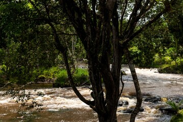 the water is moving in and out of the woods outside