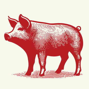 recommend clip art: Red pig silhouette for meat industry or farmers market hand drawn stamp effect vector illustration