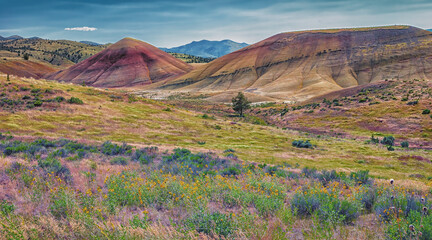 Painted Hills in Eastern Oregon