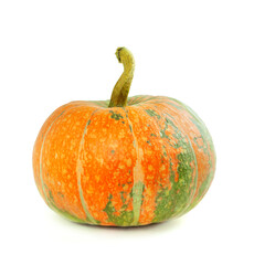 Pumpkin plant. Growing pumpkins. Orange, green , yellow pumpkin. harvest. Colorful vegetables.fall food .Autumn