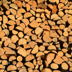 Pile of dry chopped fire wood