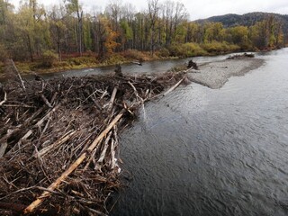 Pile of fallen trees in the river with lush woods and hills in the background.