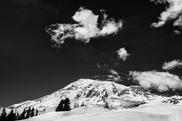 Mount Rainier Snowshoe