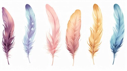 Vector feathers collection, watercolor feathers on white background. Realistic style,