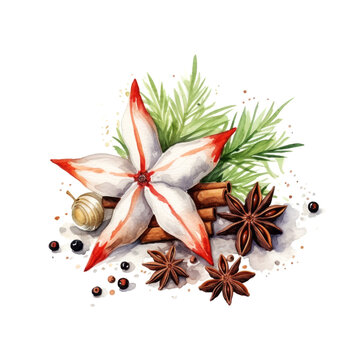 Watercolor star anise painting with rosemary branches and cinnamone sticks on white background. Winter holidays concept