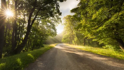 Foto op Canvas Rural gravel road through lofty green linden trees. Soft sunlight, sun rays background © CreativeStock