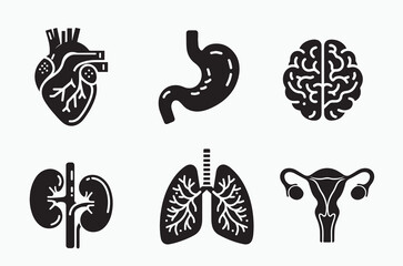Anatomy of organs and systems set: Stomach, heart, brain, lungs, kidneys, uterus. Simple black icons