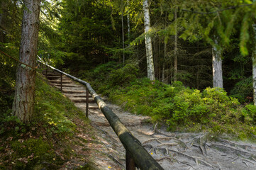 Obraz premium Steep hiking trail with stairs and wooden handrail through forest in Adrspach rocks, Czech Republic